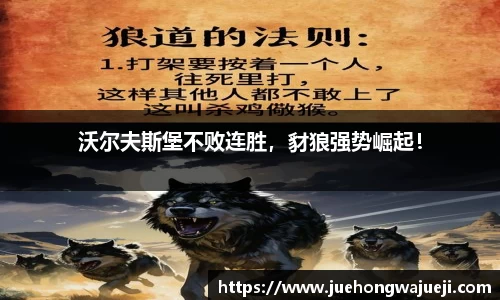 沃尔夫斯堡不败连胜，豺狼强势崛起！